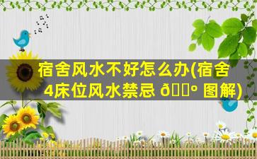 宿舍风水不好怎么办(宿舍4床位风水禁忌 🐺 图解)